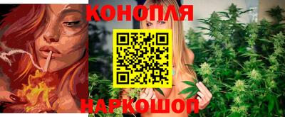 spice Беслан