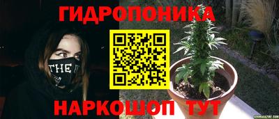 jwh Бийск