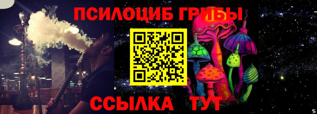 Галлюциногенные грибы мицелий Видное